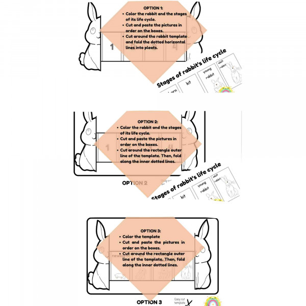 Life cycle of a rabbit craft, Easter ideas