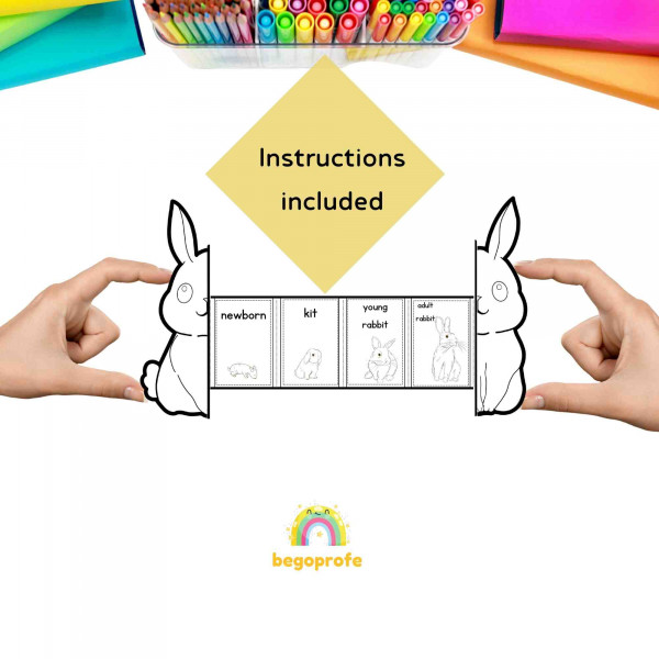 Life cycle of a rabbit craft, Easter ideas