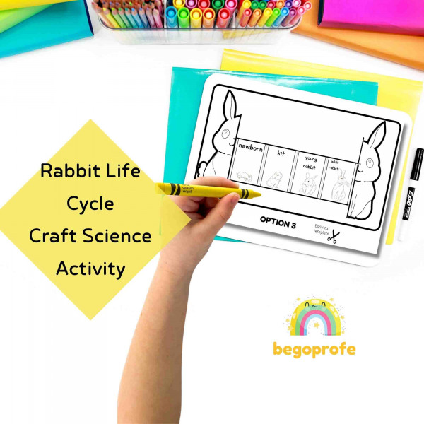 Life cycle of a rabbit craft, Easter ideas
