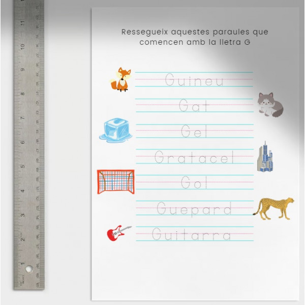 Llibre de cal·ligrafia il·lustrat