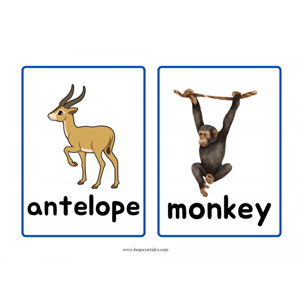 Handa's Surprise flashcards