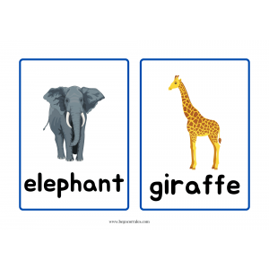 Handa's Surprise flashcards