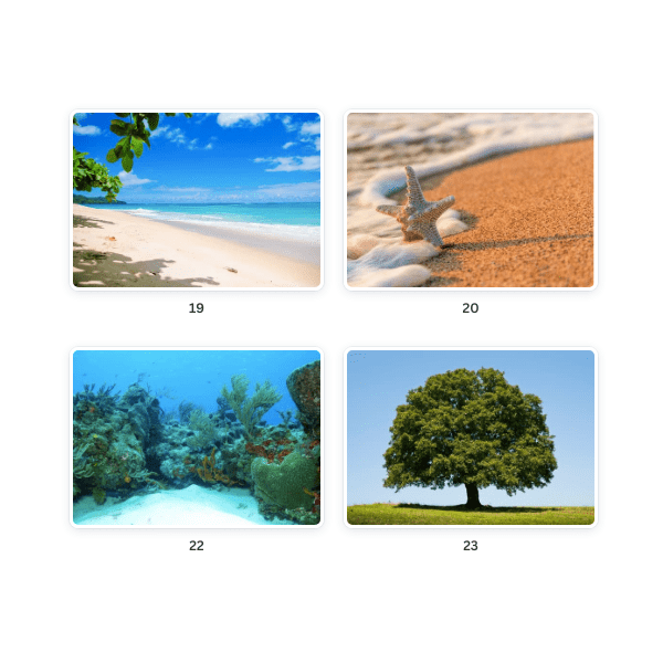 BASES PER JUGAR AMB PLASTILINA