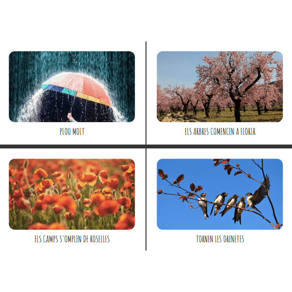 LLIBRES DE LES ESTACIONS