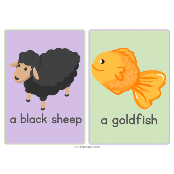 Brown bear flashcards