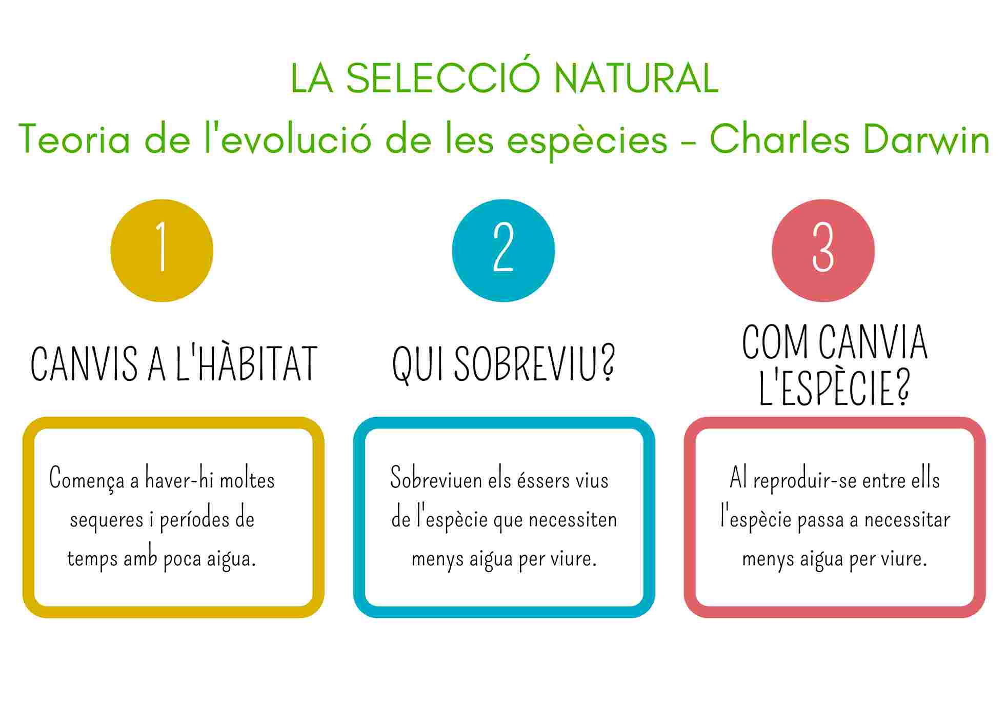 TEORIA DE L'EVOLUCIÓ - CHARLES DARWIN