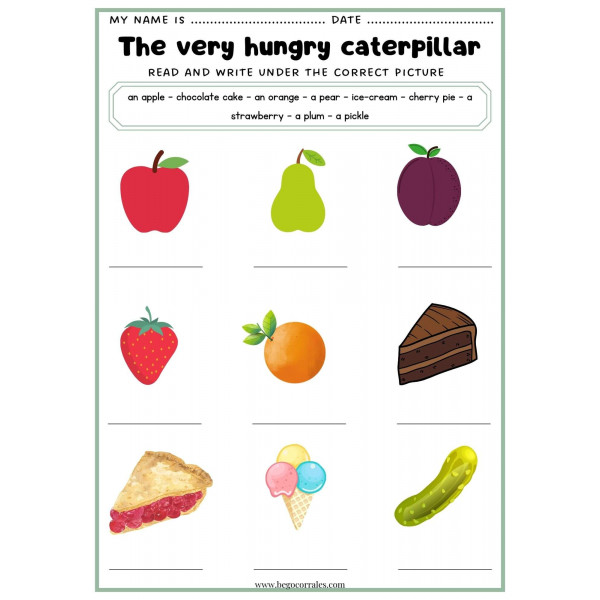 The very hungry caterpillar worksheets