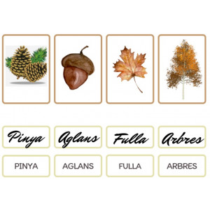 VOCABULARI DE LA TARDOR