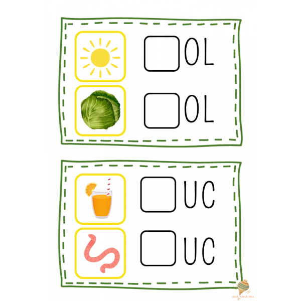 CONSCIÈNCIA FONOLÒGICA