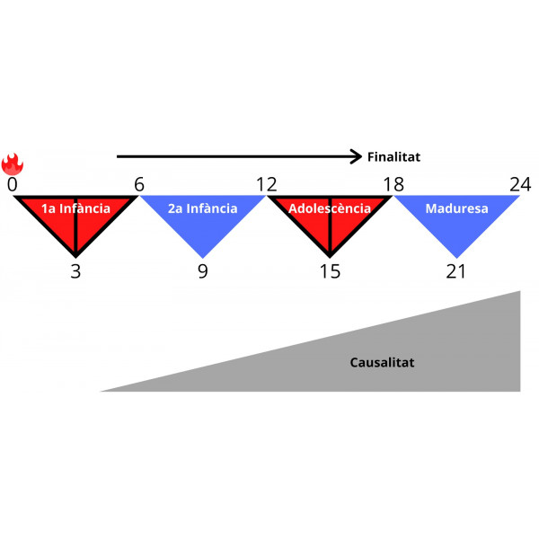 Montessori Primària: Àlbum de Teoria