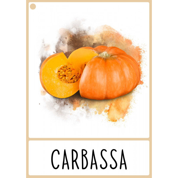 Targetes de vocabulari de TARDOR