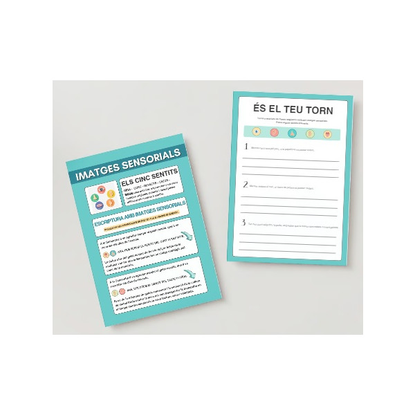 Els cinc sentits: activitats i propostes