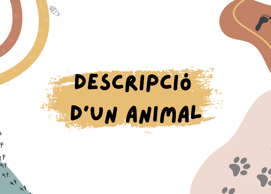 Descripció d'un animal (tipologia textual) -CAT