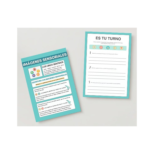 Los cinco sentidos: actividades y propuestas