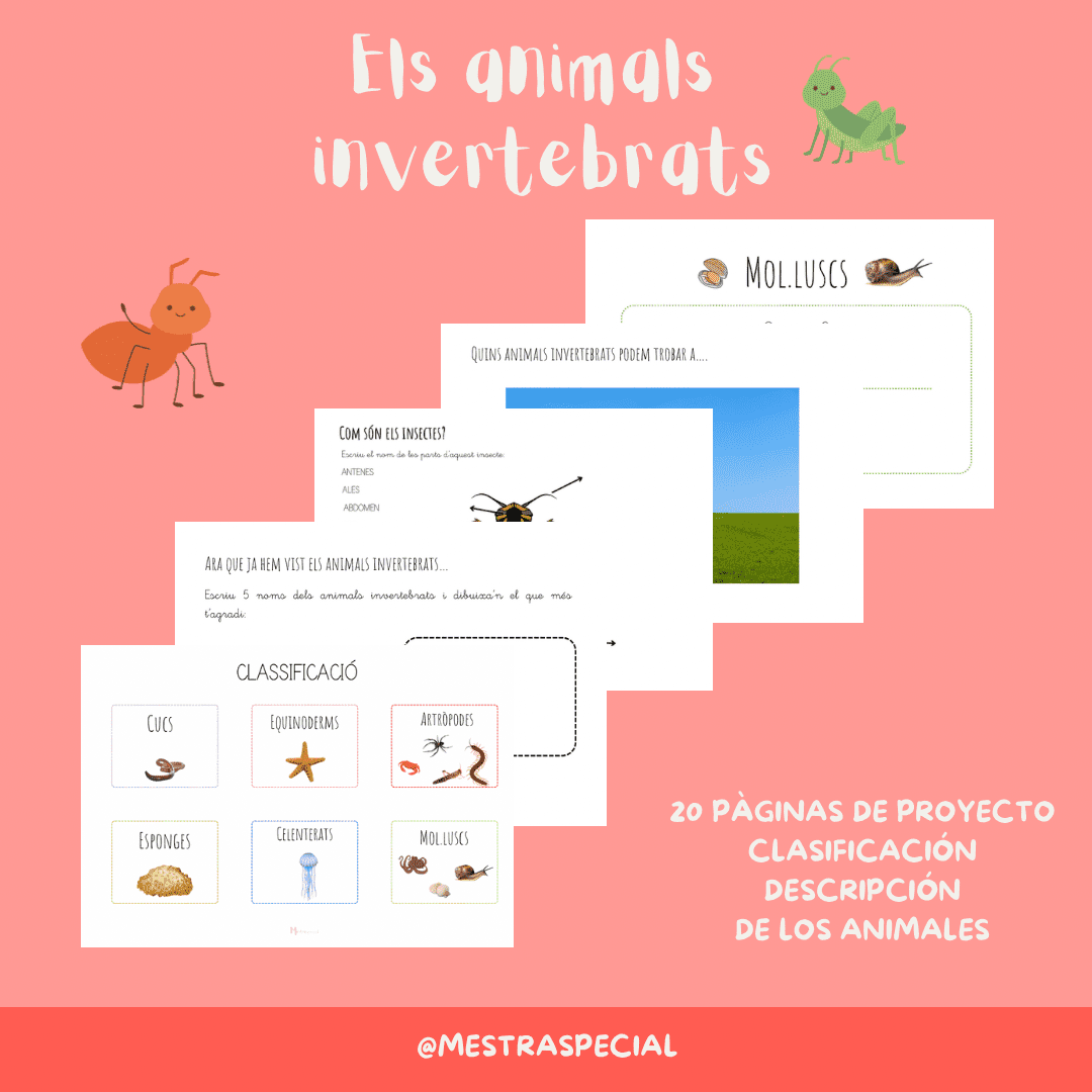 Els animals invertebrats