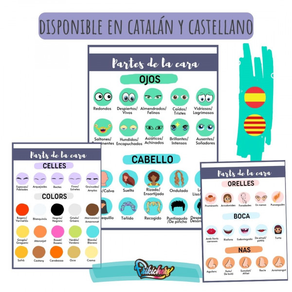 VOCABULARIO PARTES DE LA CARA