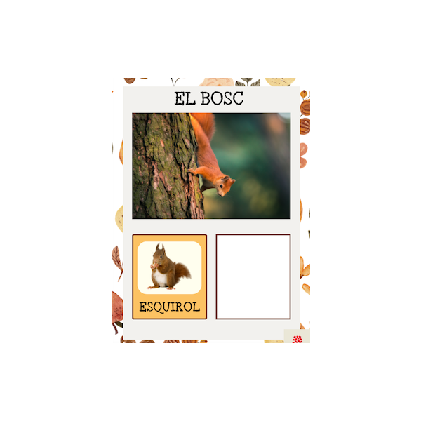 Llibre de la tardor (català)