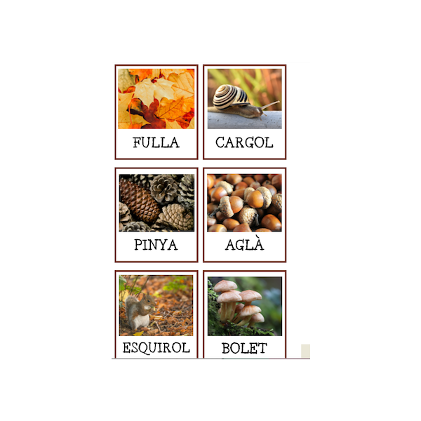 Llibre de la tardor (català)