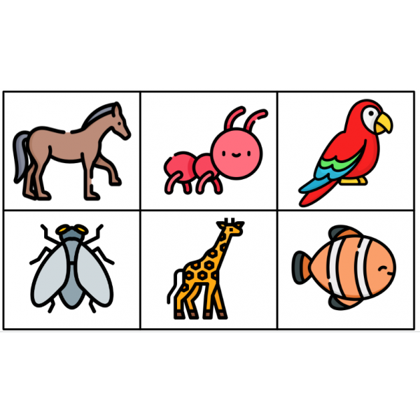 MEMORY ANIMALS. 48 Targetes. Lletra majúscula i lletra minúscula.