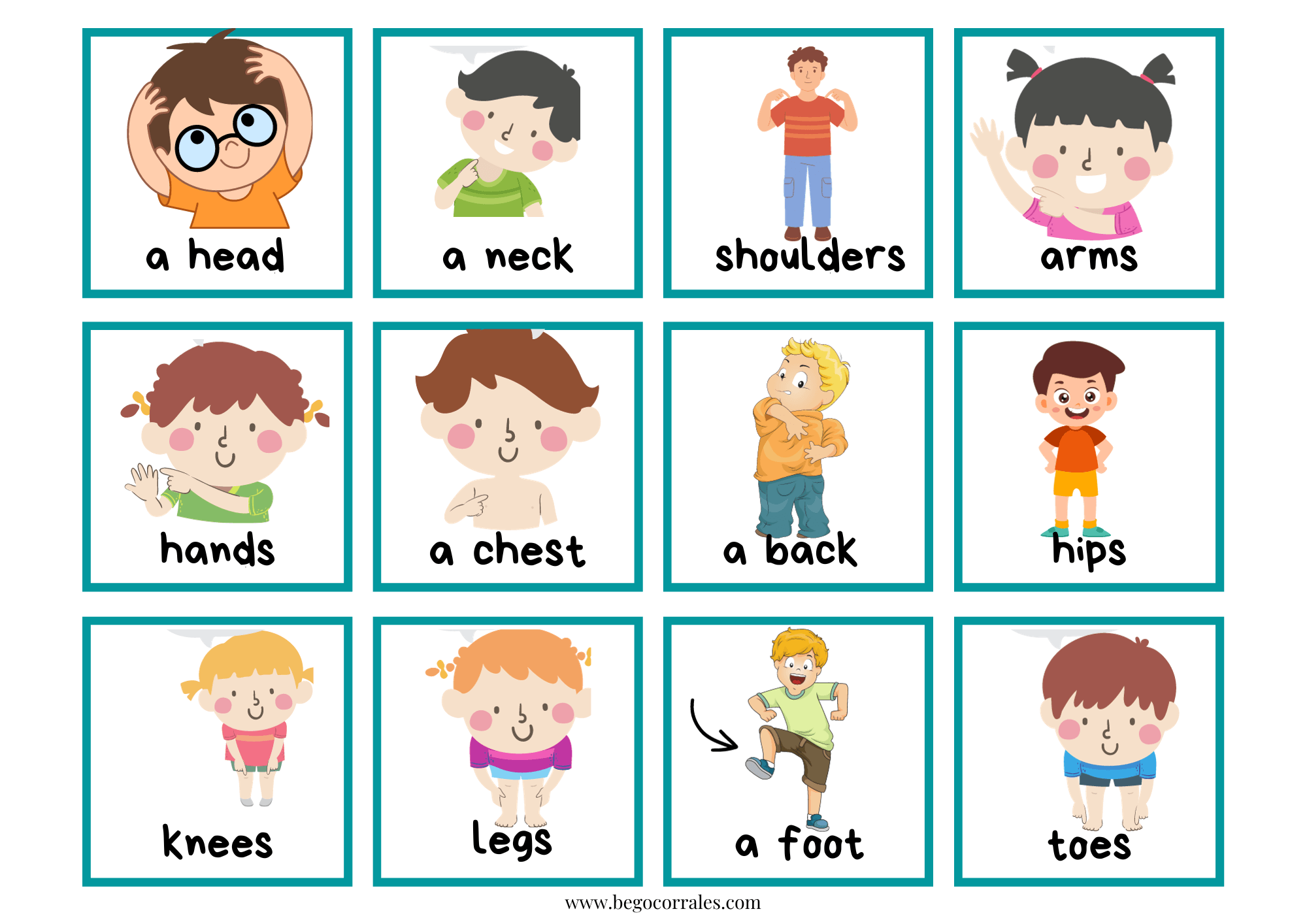 From head to toe memory cards