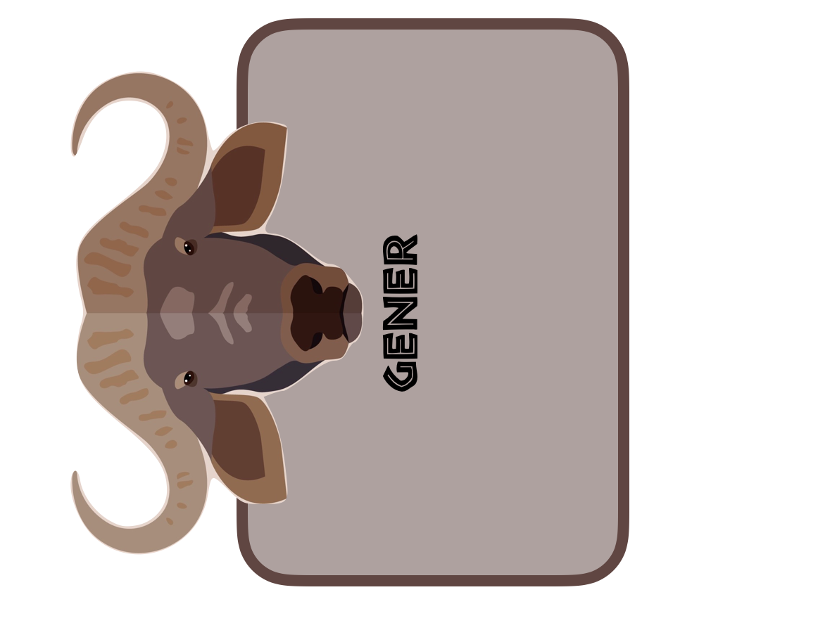 Feliç Aniversari mesos temàtica SAFARI