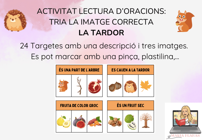 LA TARDOR: ACTIVITAT LECTURA D'ORACIONS. TRIA LA IMATGE CORRECTA. 24 TARGETES.