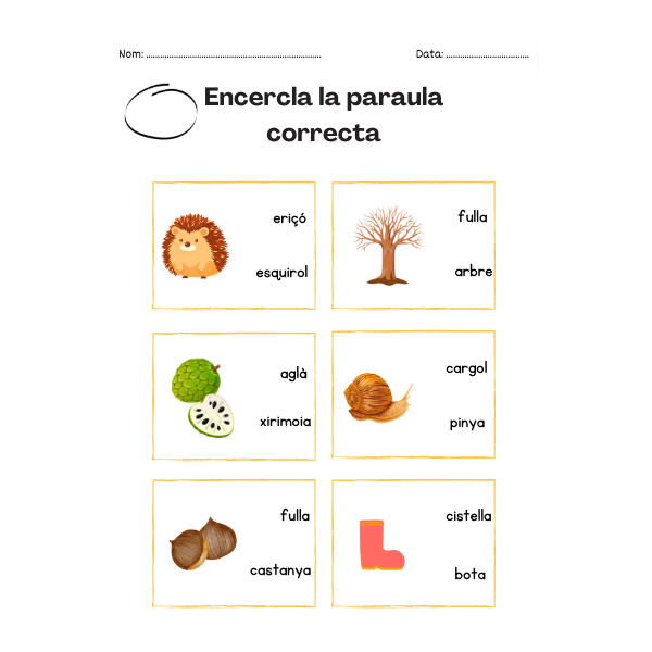 Dossier de fitxes: La tardor. Lectura i escriptura de paraules. Lletra minúscula.