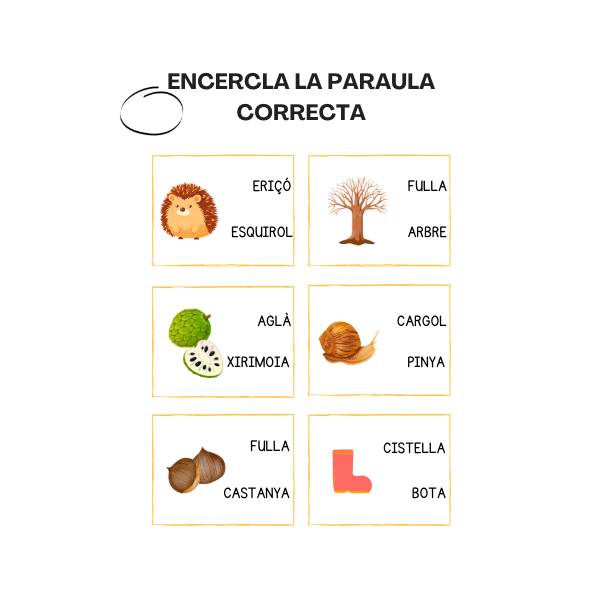 DOSSIER DE FITXES: LA TARDOR. LECTURA I ESCRIPTURA DE PARAULES. LLETRA MAJÚSCULA.