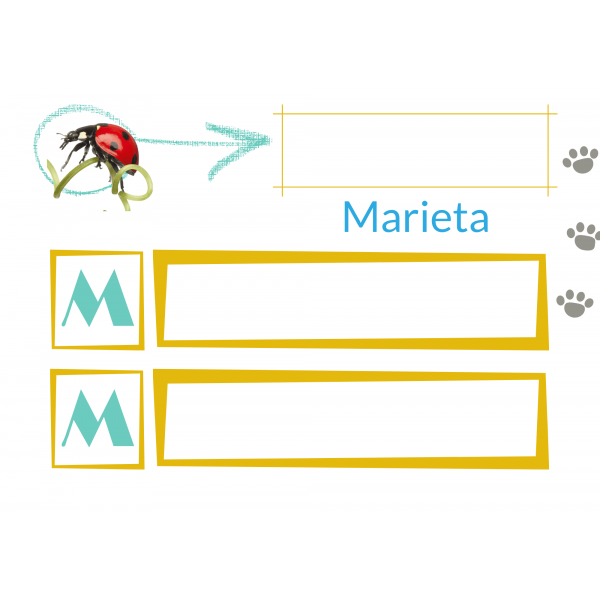 BESTIESes 1 Síl·labes. Impremta. Reconeixament nom animals.