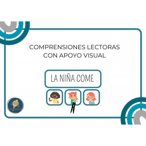 COMPRENSIONES LECTORAS / VISUALES
