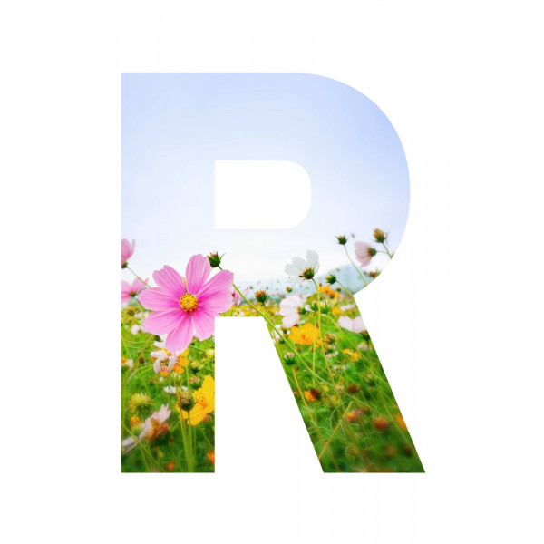 Banderín estaciones