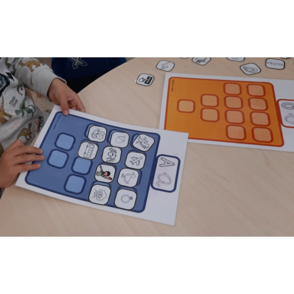 LES VOCALS. CLASSIFICAR