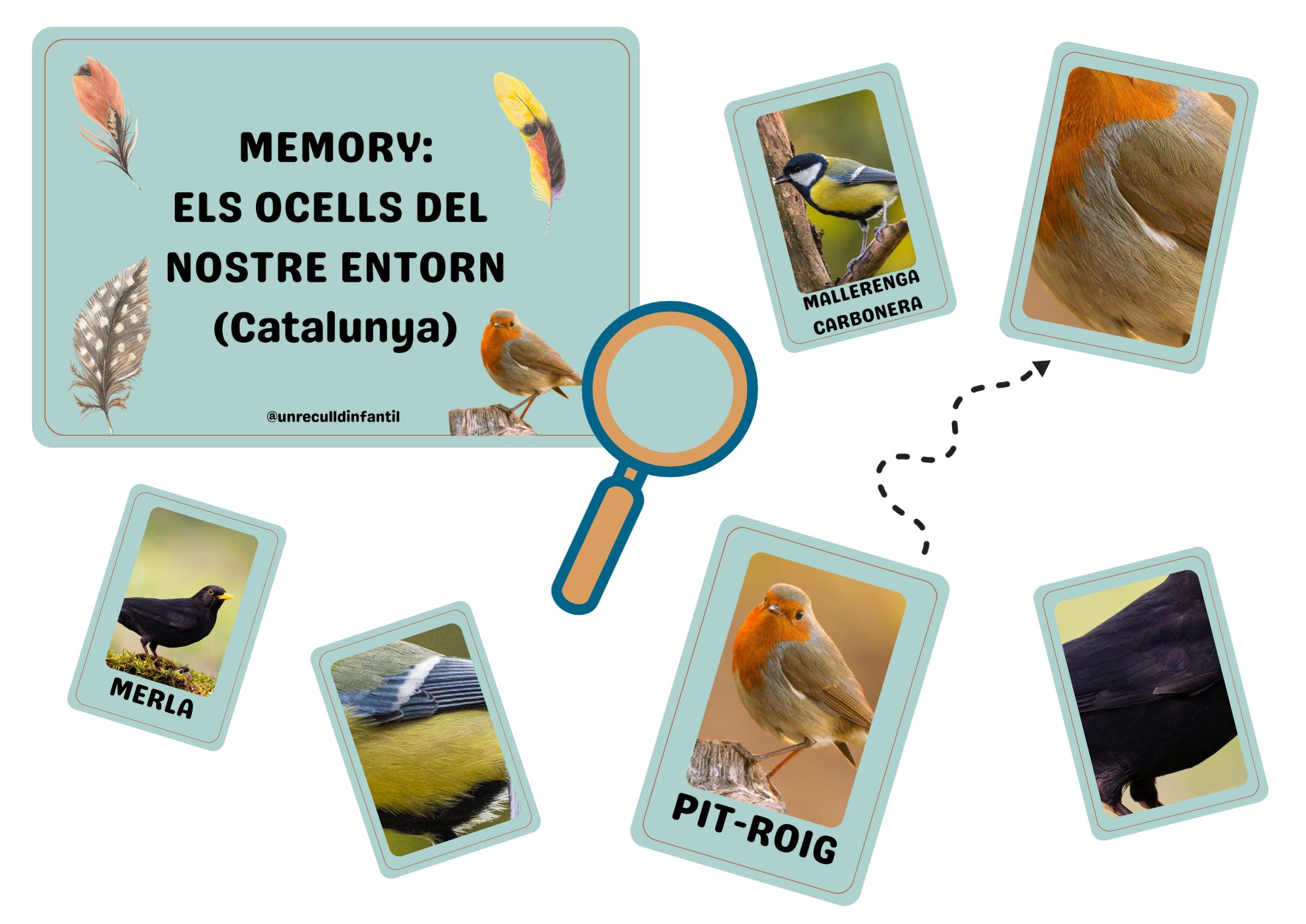 Ocells de l'entorn. MEMORY