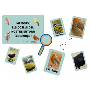 Ocells de l'entorn. MEMORY