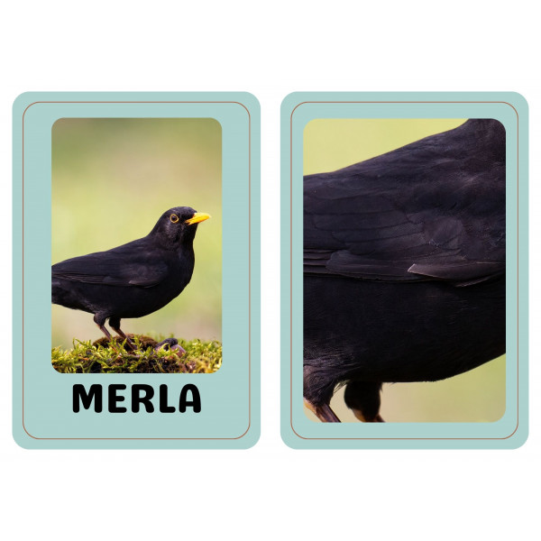 Ocells de l'entorn. MEMORY