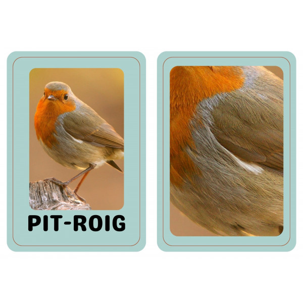 Ocells de l'entorn. MEMORY