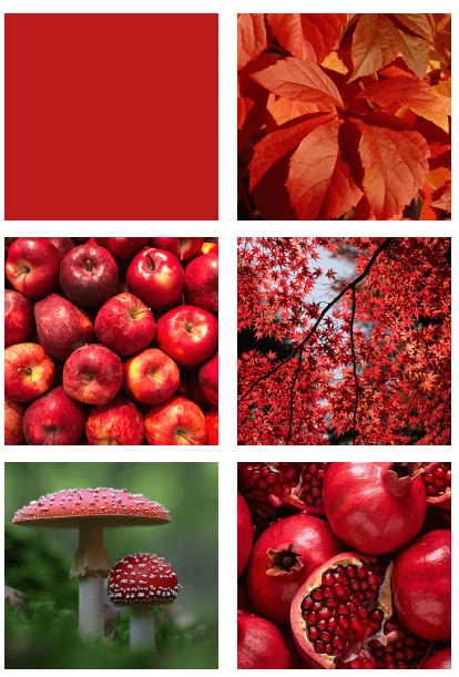 Colores del otoño - Colors de la tardor