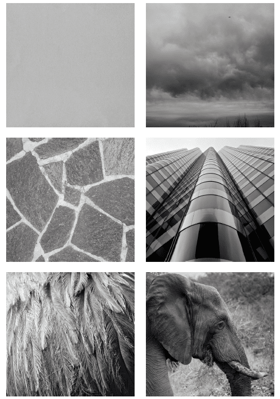 Colores de la naturaleza - Colors de la natura