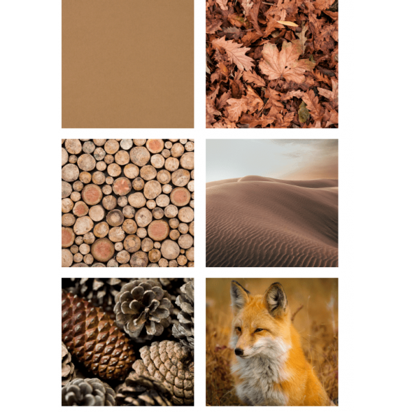 Colores de la naturaleza - Colors de la natura