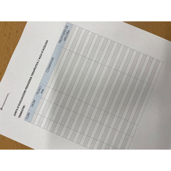 TAULA AVALUACIONS AULA D'ACOLLIDA