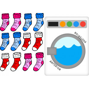 Anterior i posterior