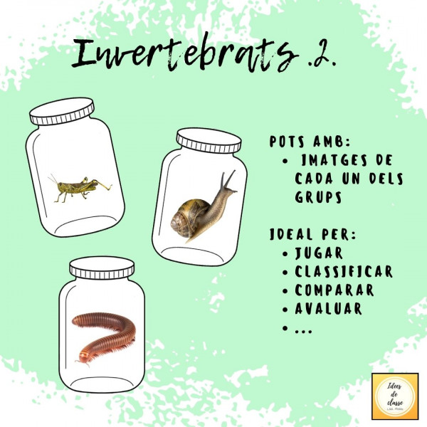 Animals invertebrats
