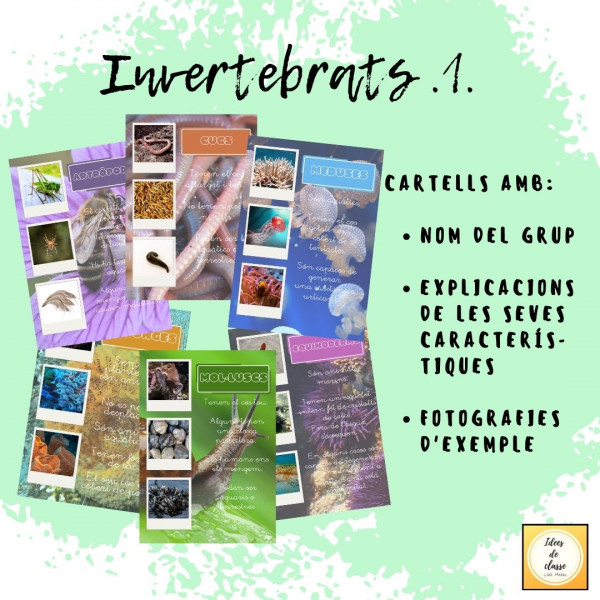 Animals invertebrats