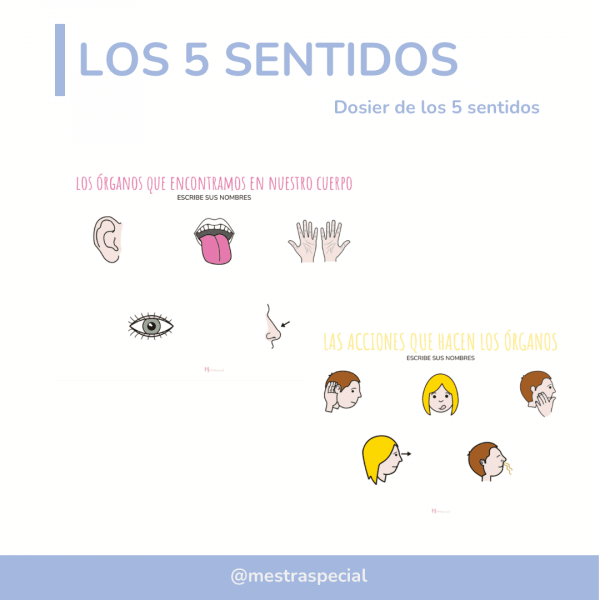 Els 5 sentits /Los 5 sentidos
