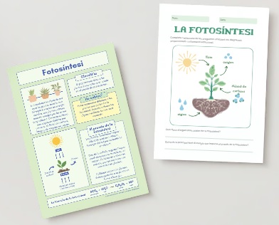 La fotosíntesi (informació i propostes)
