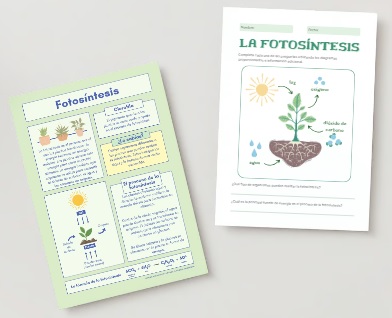 La fotosíntesis: información y propuestas