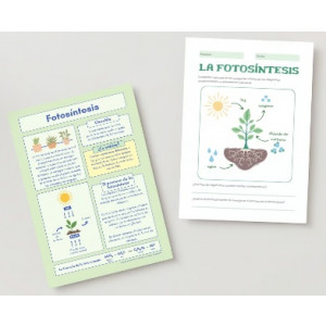 La fotosíntesis: información y propuestas