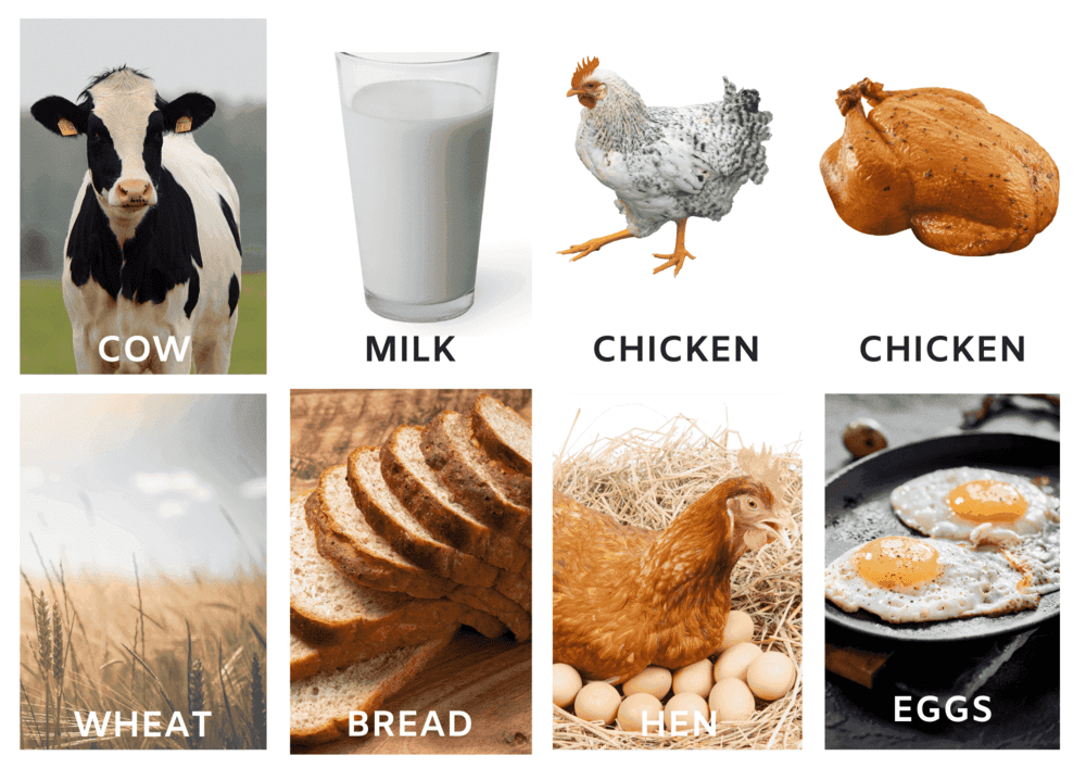 Food from the farm photos