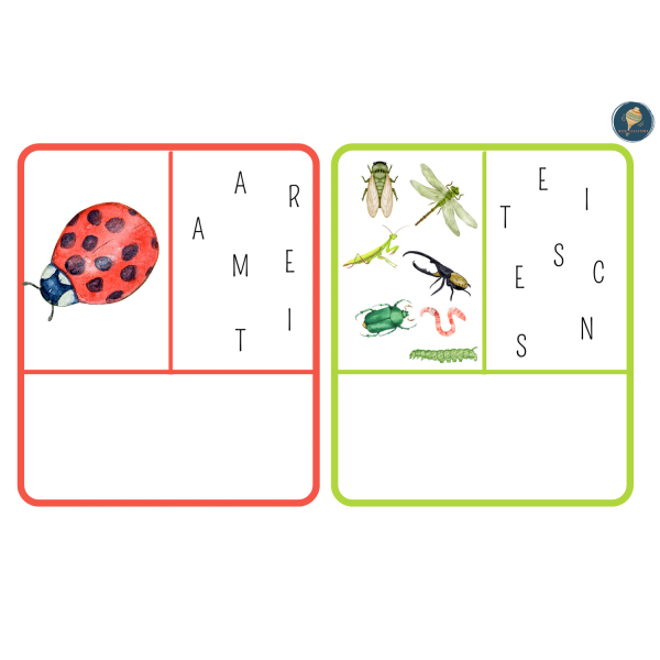 TARGETES VOCABULARI PRIMAVERA