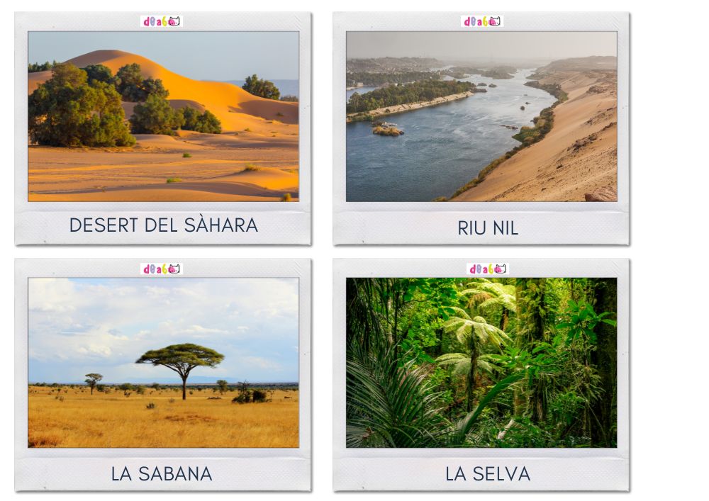 Polaroids amb indrets naturals del món